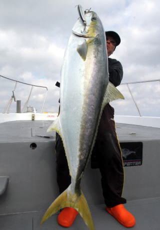 ブルー チェイサー BLC ヒラマサ マグロ ロッド