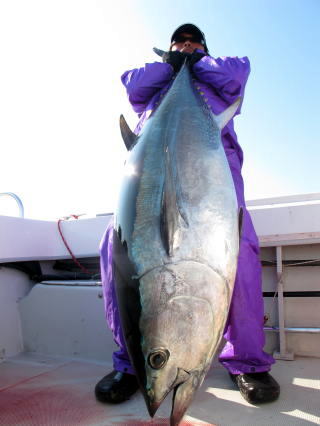 ブルー チェイサー BLC ヒラマサ マグロ ロッド