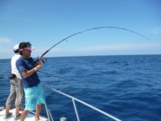 ブルーチェイサー BLC80／10 MS マイクロ スナイパー