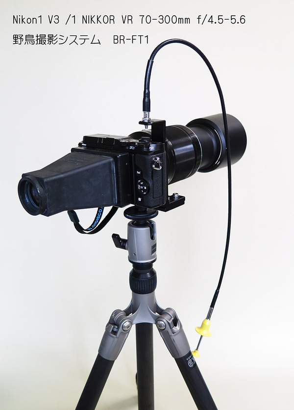 野鳥写真研究室: 【新製品】Nikon1V3/ 1Nikkor VR 70-300 野鳥撮影システム
