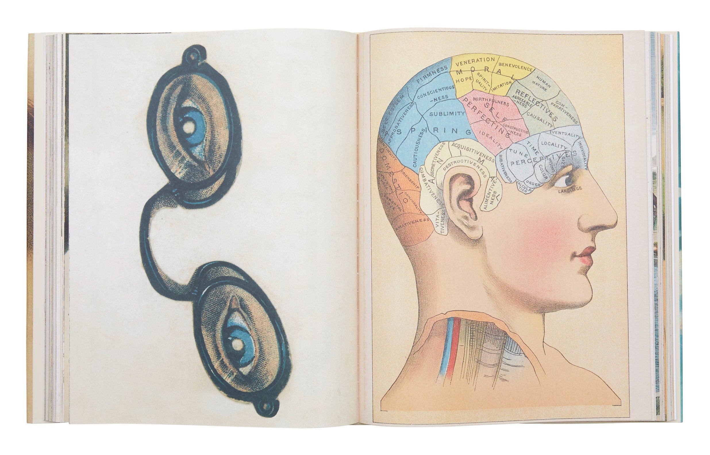 John Derian Picture Book | Jayson Home