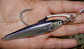 マグロルアー,カタクチイワシルアー,マイワシ,サンマ,トビウオ,マグロ