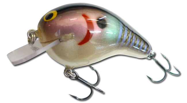 bagley Balsa B 商品説明