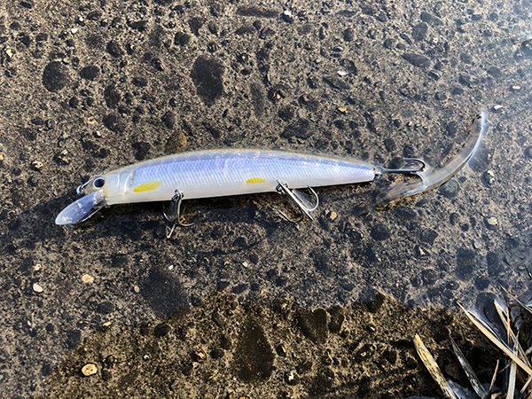 マシュー | O.S.P,Inc. | ルアーフィッシングメーカーO.S.P,Inc.の公式