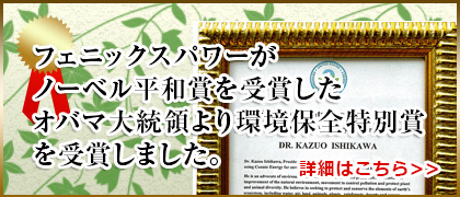 宇宙パワーで幸せと成功を手に | フェニックスパワー研究所