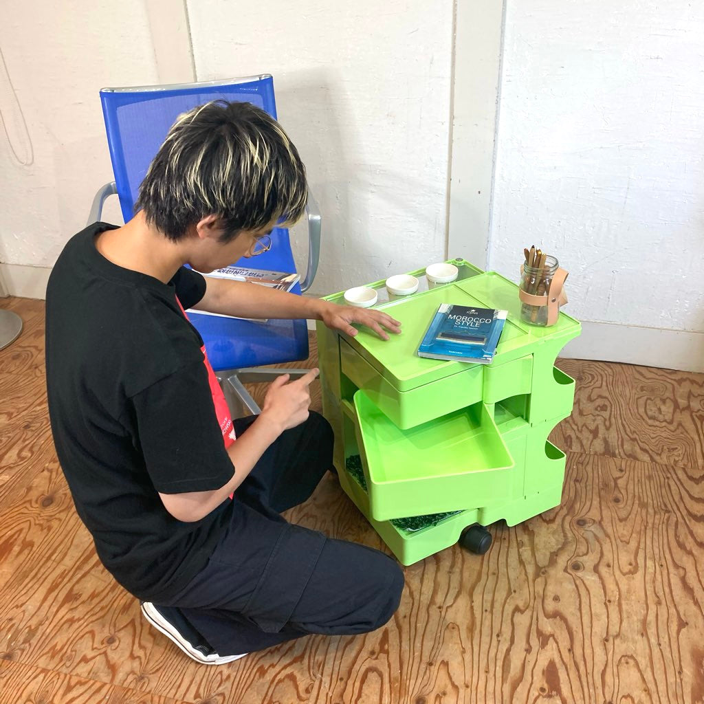 B-LINE ボビーワゴン 2段2トレイ シャギーマット アクリルホルダー