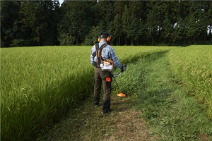 スチール FS 23 C-E｜刈払機｜ 【山梨県山中湖のサンワオート】除雪機