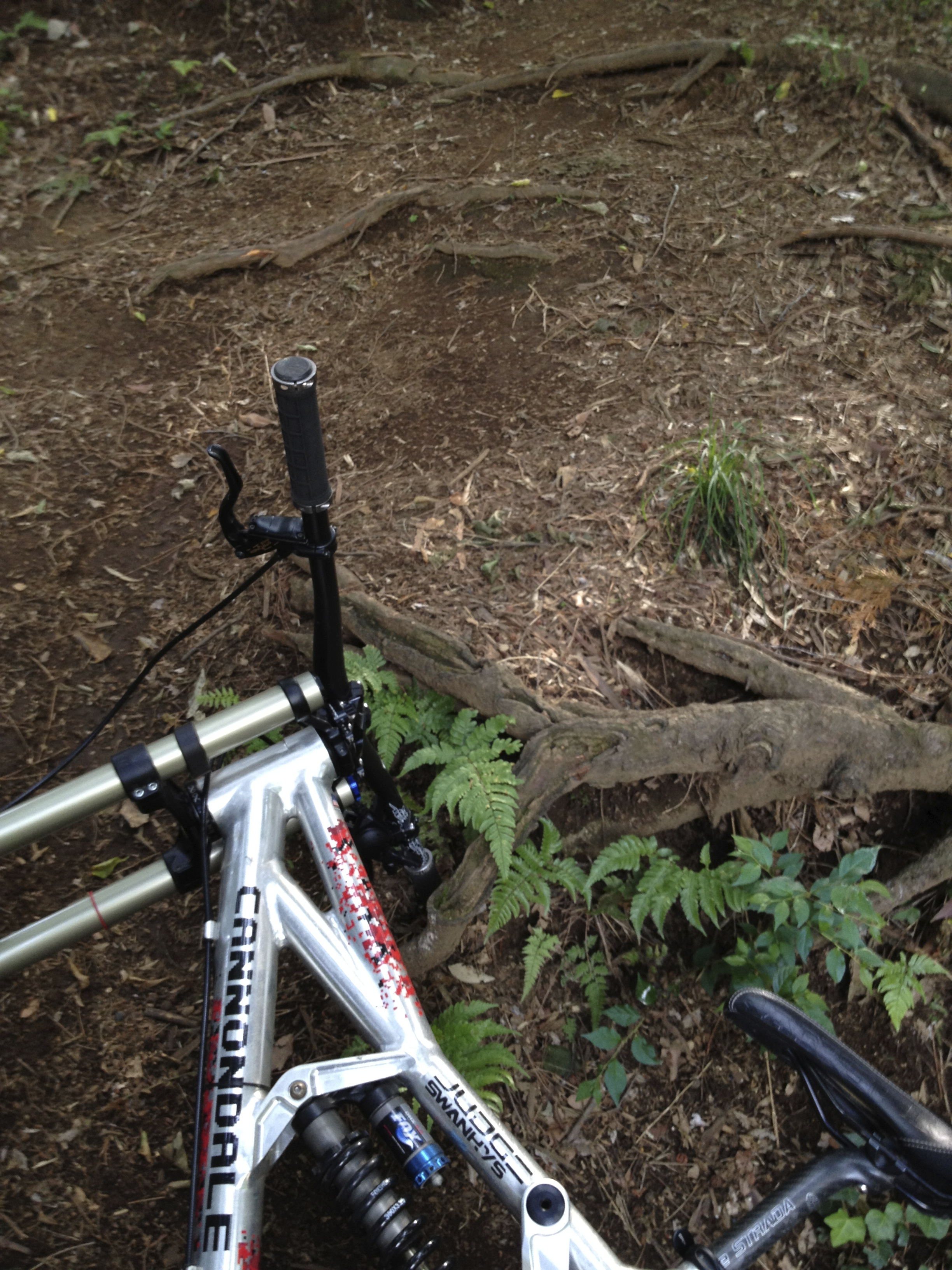 Cannondale Judge | ICOの秘密