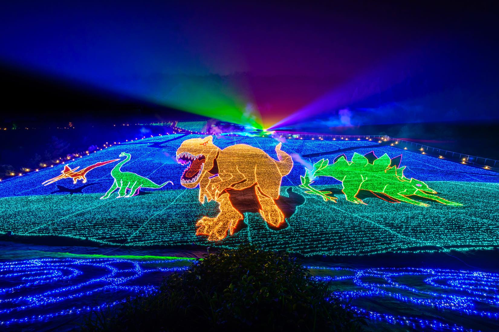 スキージャム勝山」2020年イルミネーションプロデュース | 夜景観光