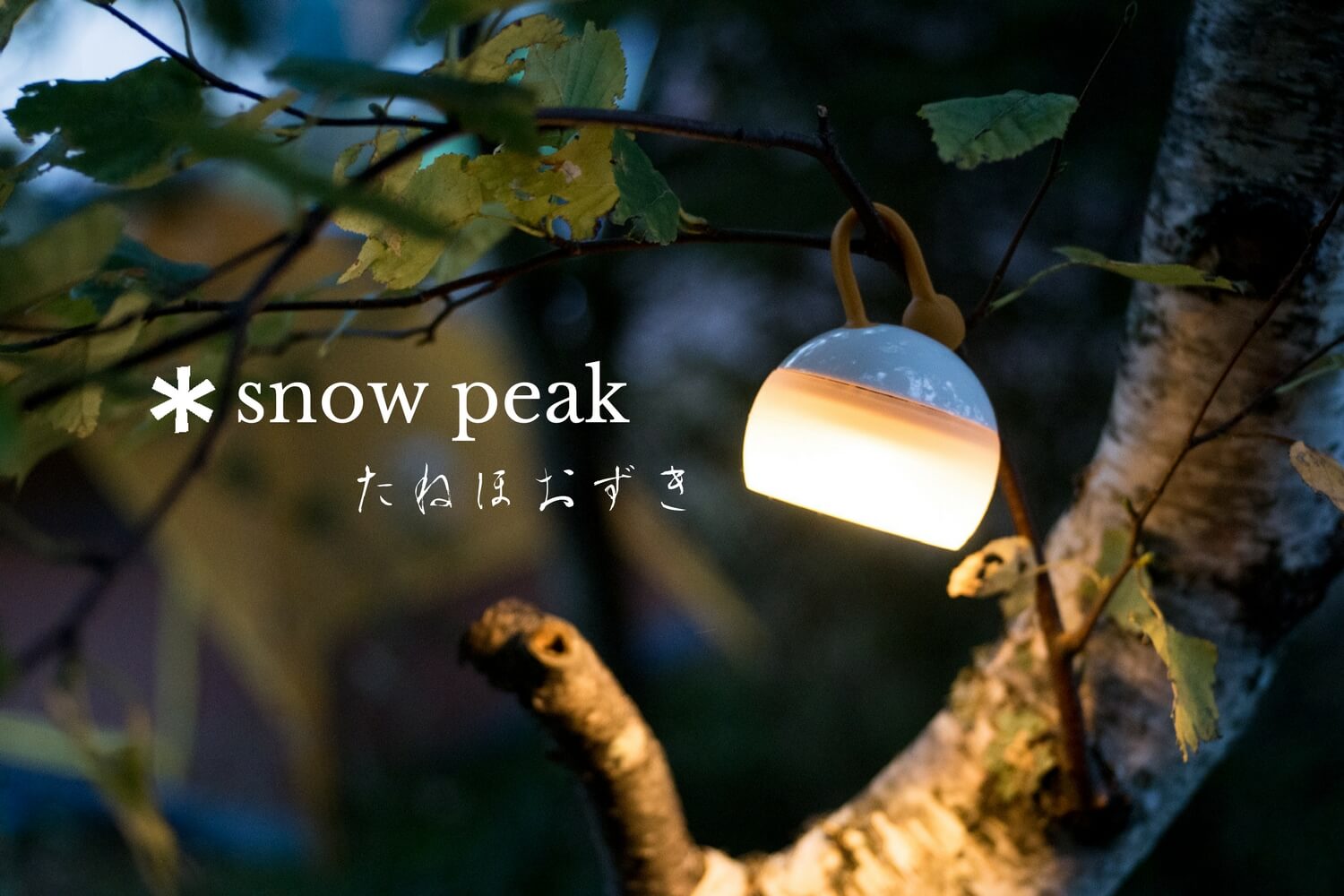 SNOWPEAK「たねほおずき」はソロキャンプ・登山・ツーリングに最適な