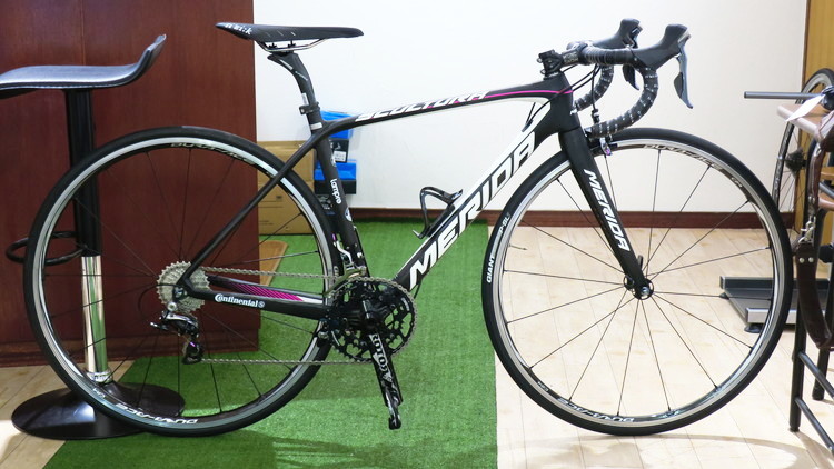 リアルチームレプリカ！MERIDA（メリダ）SCULTURA TEAM（スクル
