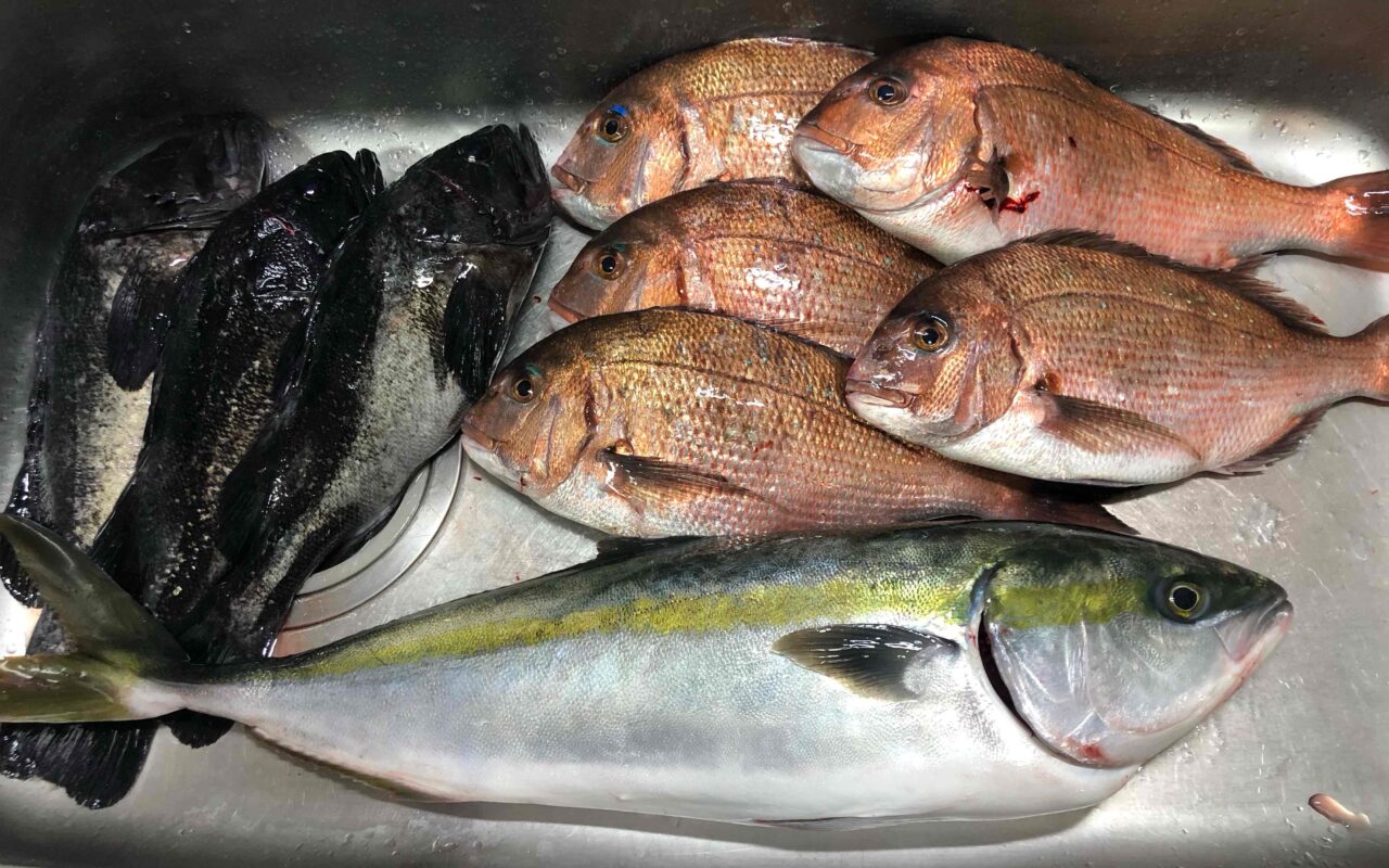 2024年初釣り♪釣り堀に行ってきました(*^^*) – フィッシングTポート