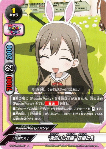 キャラクター名「花園たえ」(1 枚)｜フューチャーカード バディファイト