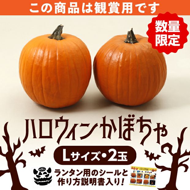 ハロウィンかぼちゃ Lサイズ2玉｜食べレア北海道 物産 お取り寄せ