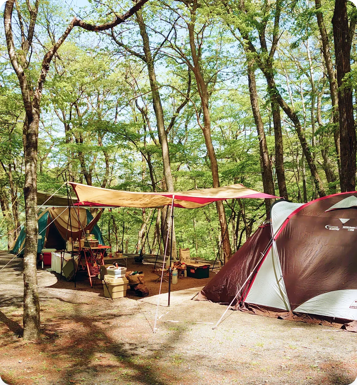キャンプ場・BBQ・カフェ | まほーばの森 | 群馬県上野村 天空回廊【公式】