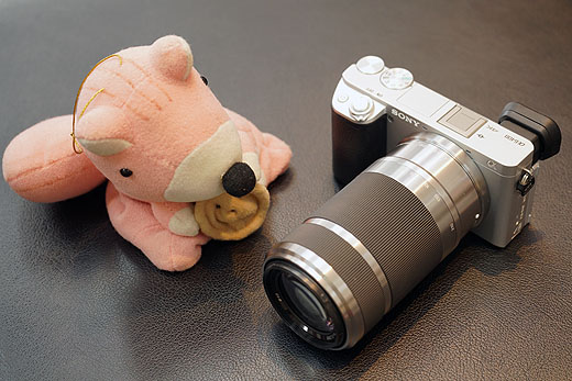 α6400”のキットレンズで撮る『ネモフィラとシマリス』 - ソニーの新