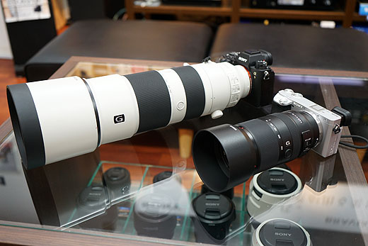 525mm相当で使えるAPS-C望遠ズームレンズ『SEL70350G』レビュー