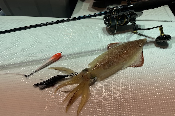 最強オモリグロッド!?エメラルダスEXイカメタル OR63MLS-SMTTを