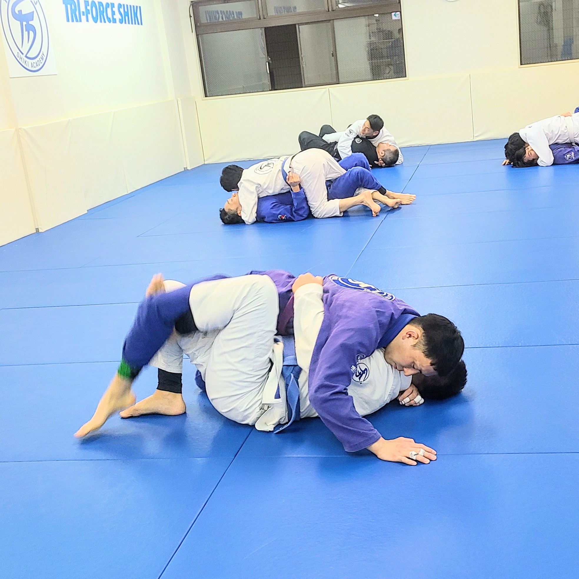 ハーフバタフライ！ - トライフォース志木