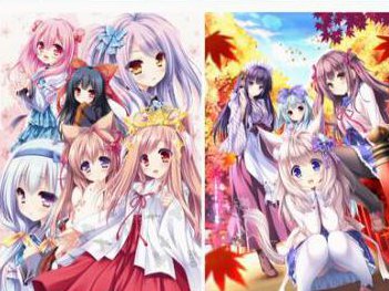 めだかボックス カードゲーム 学園お花畑化計画』好評発売中