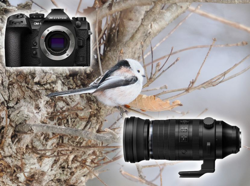 レビュー】最新プロ機ミラーレス一眼『OM-1 Mark II』＋35mm判換算