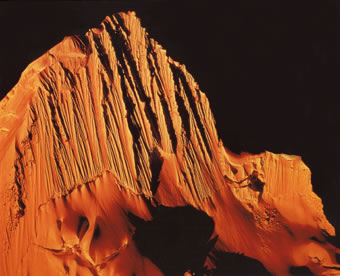 前人未到の旅路を行く | 東京都写真美術館