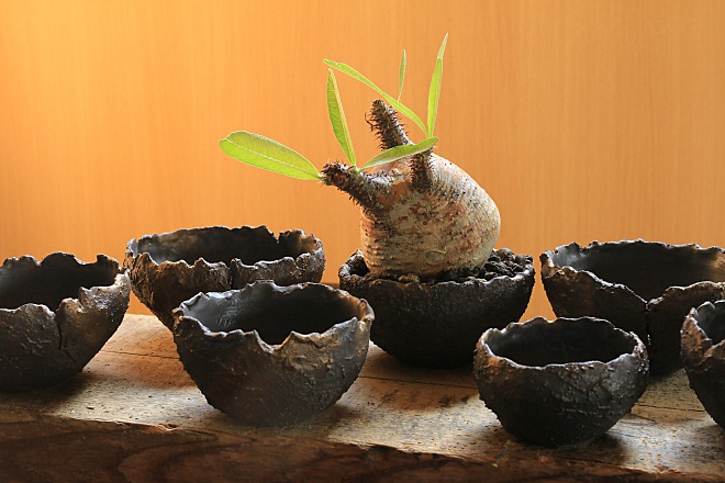 desertシリーズ ～宇宙砂漠～ | 益子焼窯元よこやま