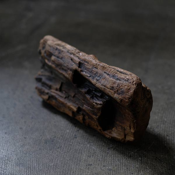 木化石（珪化木） – zakka store towi