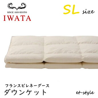イワタ 寝具」の人気商品一覧 | 安い商品を通販サイトから探す - 価格.com