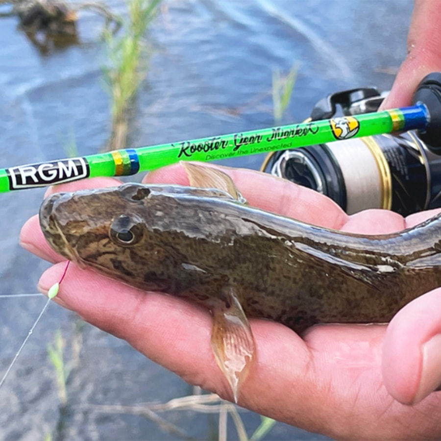 楽天市場】RGM(ルースター ギア マーケット) RGM spec.T 120S