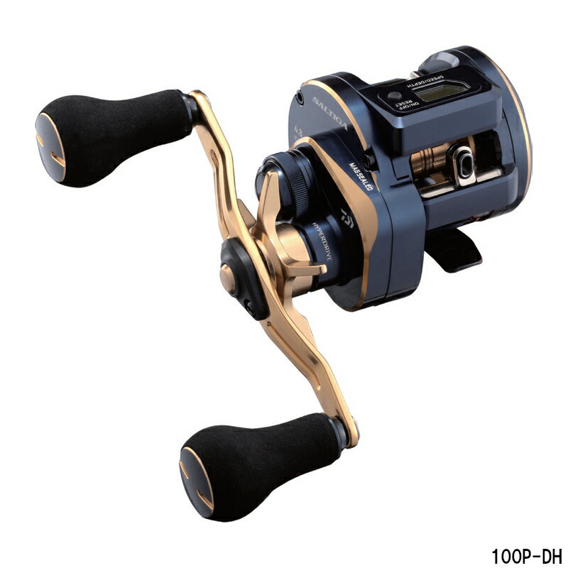 楽天市場】saltiga ic 100p-dhの通販