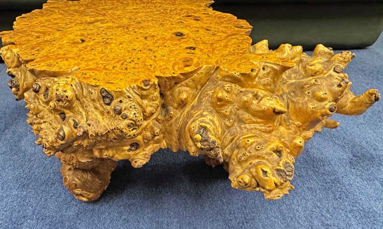 楽天市場】送料無料 木の根 飾り台 W38cm 高級 花台 盆栽卓 根卓 飾台