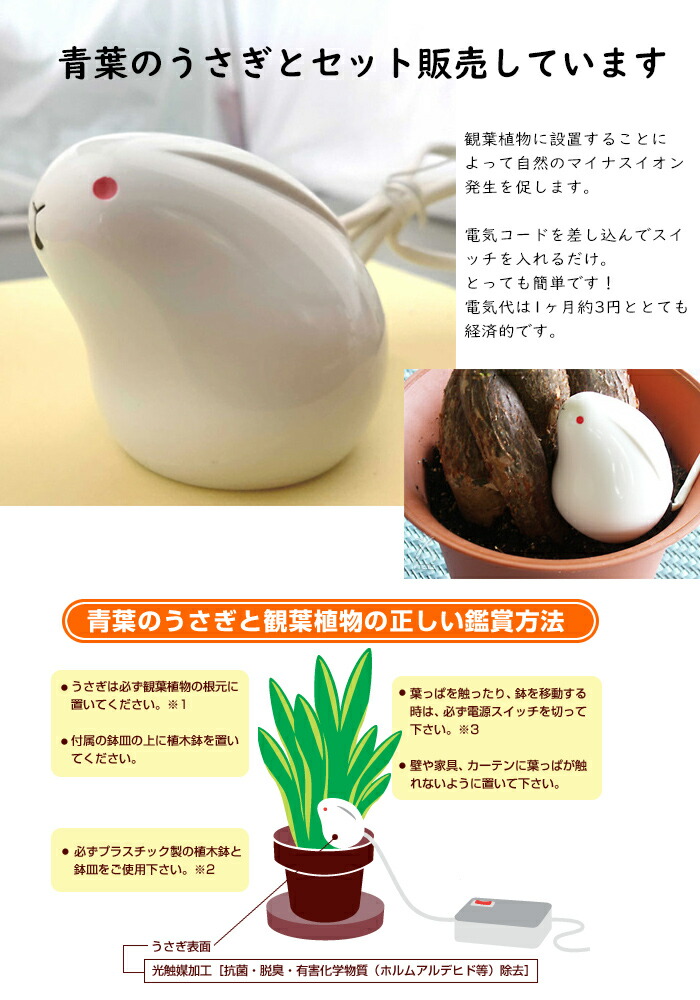 楽天市場】【P最大47倍&クーポン】マイカの岩盤浴 M-1000 空気活性器