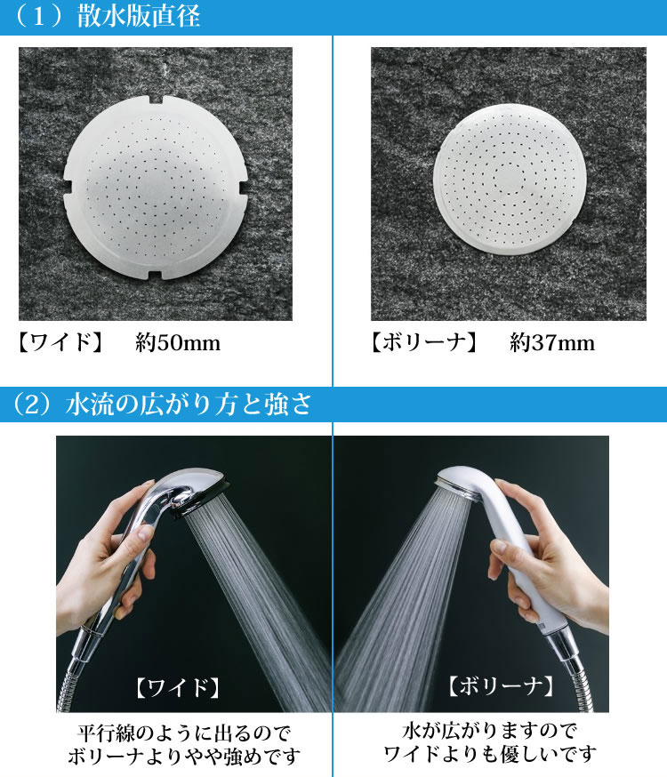 楽天市場】【365日出荷】【3000円クーポン】【おまけ付】ボリーナ