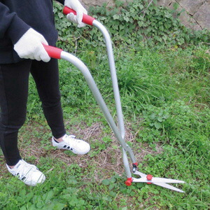楽天市場】刈込鋏 芝の通販