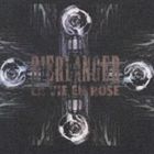 楽天市場】d'erlanger la vie en rose（CD・DVD）の通販