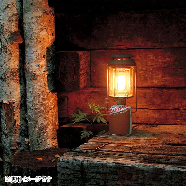 楽天市場】【5日は！枚数限定 最大1,000円OFFクーポン】スノーピーク