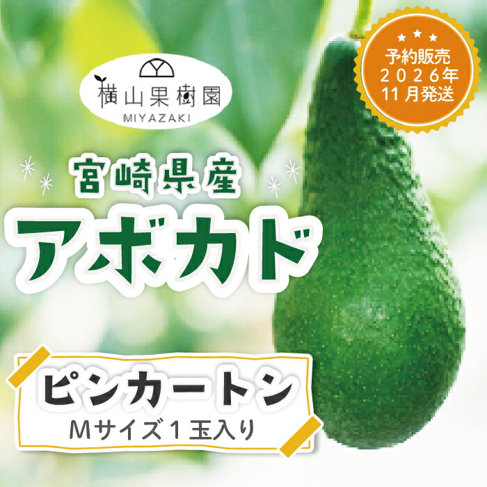 楽天市場】満天☆青空レストラン放送【予約販売 2026年11月発送】宮崎