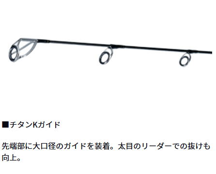 楽天市場】【大型商品（260サイズ）】【ダイワ】21 ソルティガ R J62S