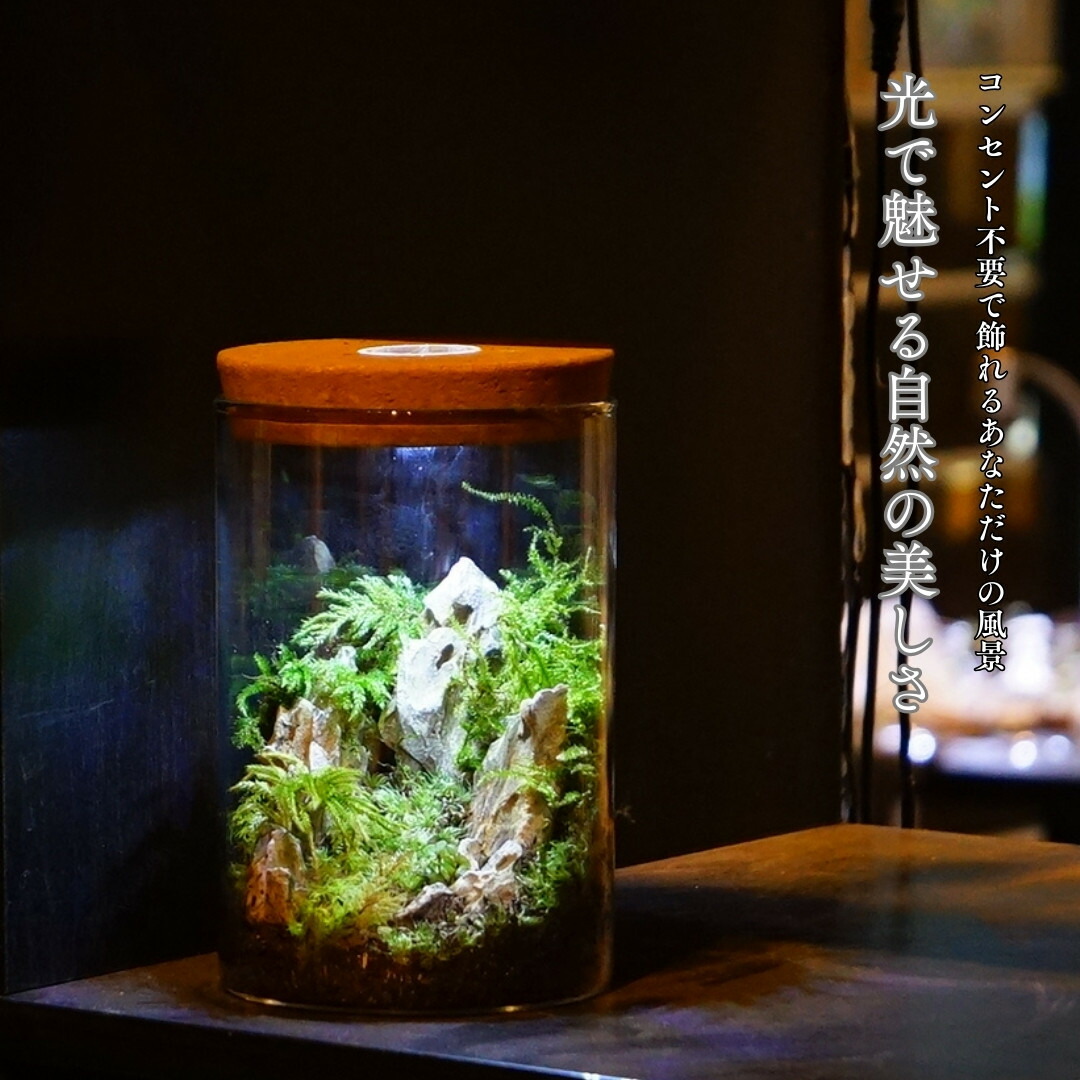 楽天市場】LEDライト付き コルク蓋 ガラスボトル 苔テラリウム 容器