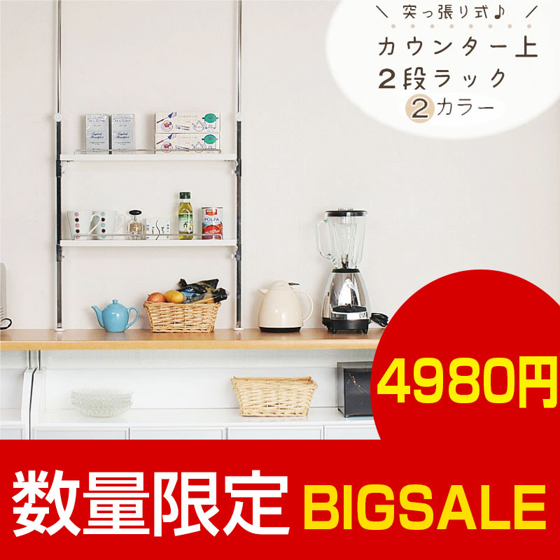 楽天市場】【スーパーセール】 カウンター上収納スリムスパイスラック2