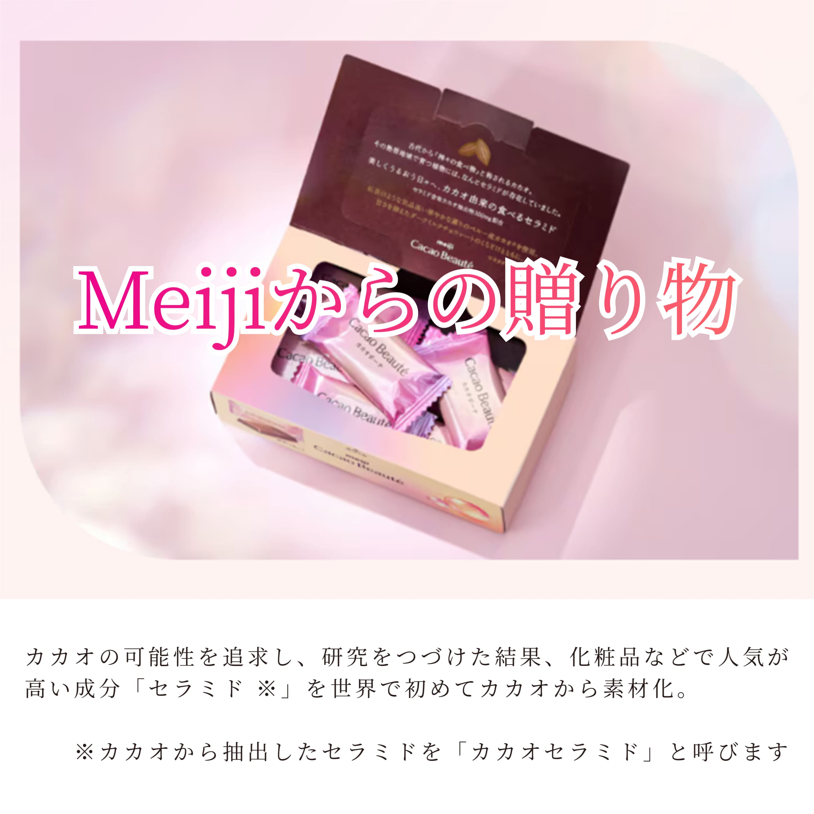 楽天市場】カカオボーテ （12枚入）3箱 明治 meiji カカオセラミド