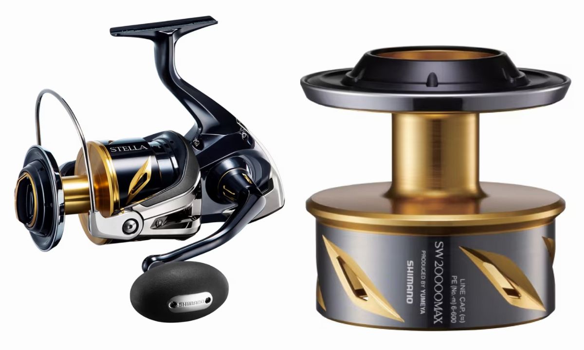 楽天市場】トランスセンデンス レイトブルーミングス58+NorthEdition