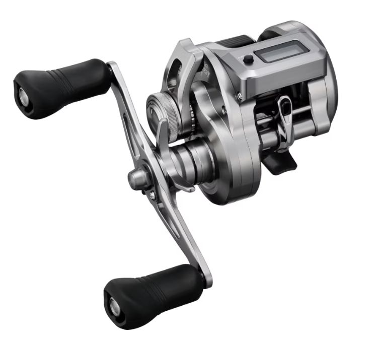 楽天市場】オシアカルカッタ 200pgの通販