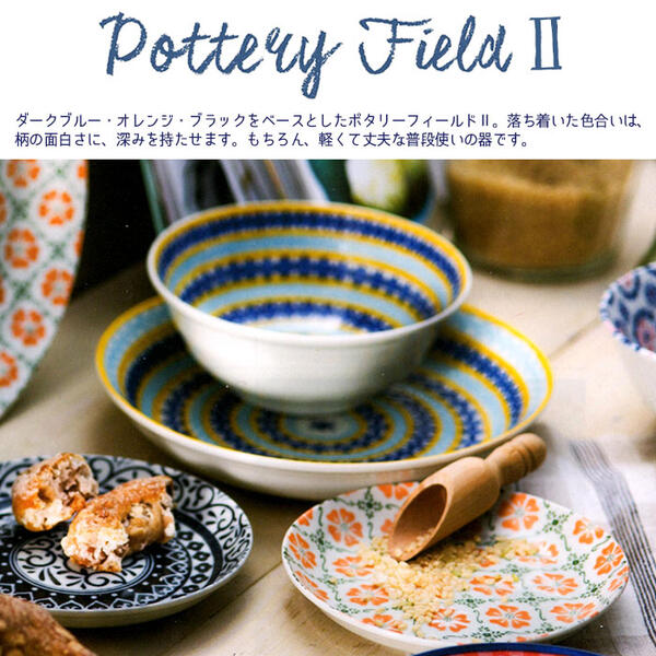 楽天市場】【取寄品】 ポタリーフィールド2 スープカレー皿 5枚セット
