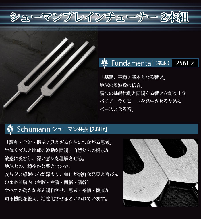 楽天市場】天然石 クリスタルチューナー 正規品 BIOSONICS社製