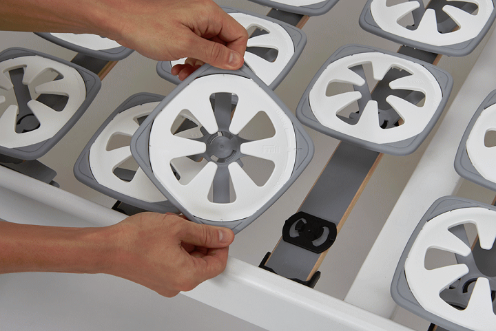 楽天市場】ボディドクター Froli（フローリー） ポイントサポート