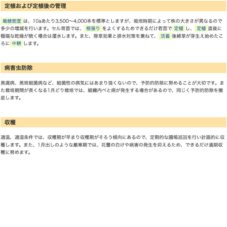 楽天市場】【有効期限2026年9月末】 ブロッコリー 種 おはよう