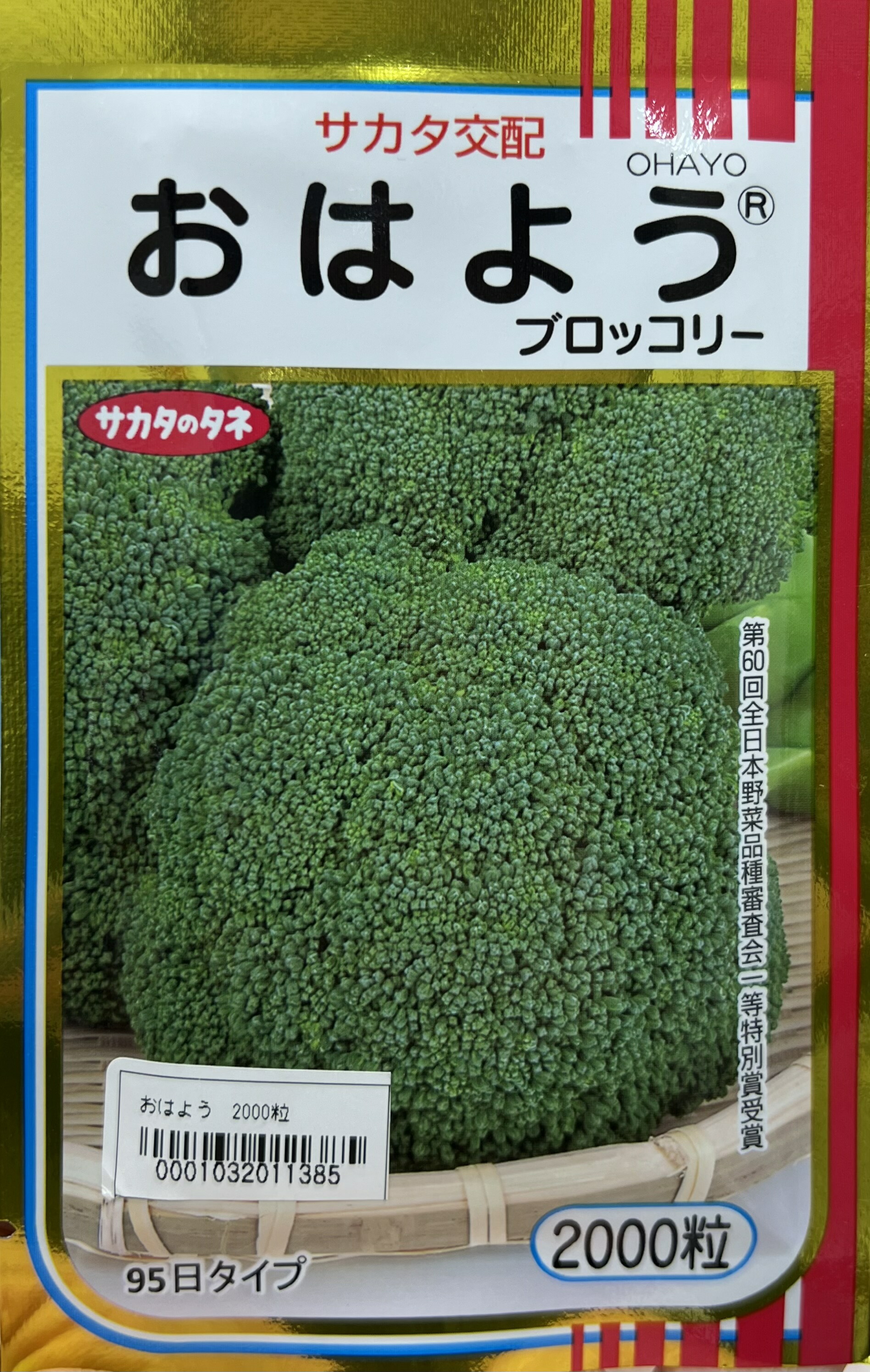 楽天市場】ブロッコリー ピクセル コート5000粒 (株)サカタのタネ