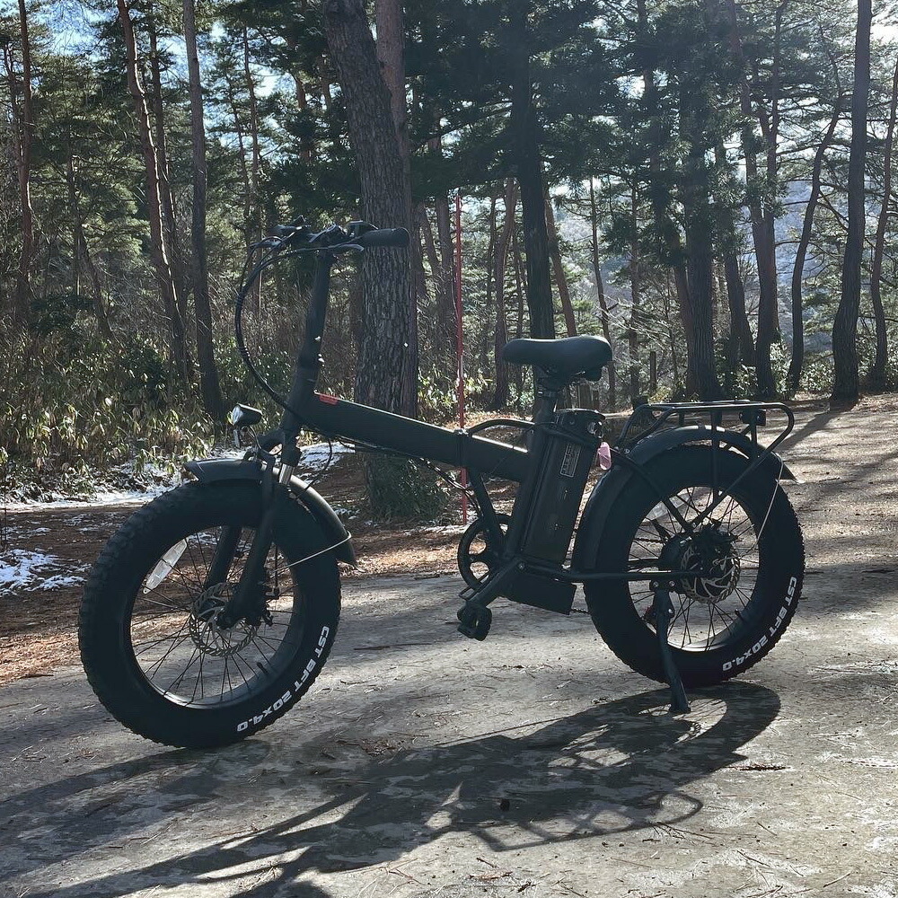 楽天市場】【送料無料】電動アシスト自転車 折りたたみ ファットバイク